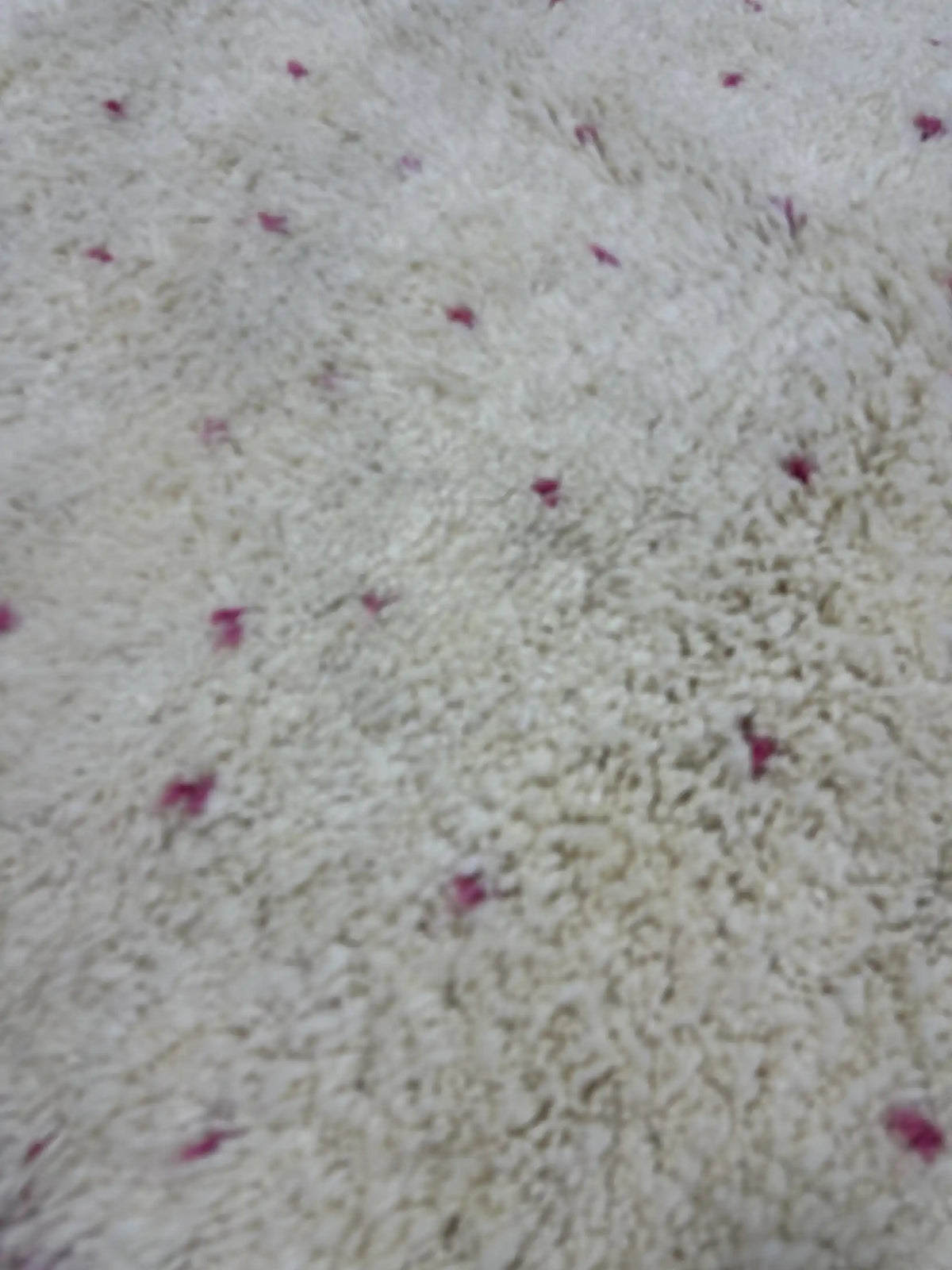 Qeriba Berber Beni Mrirt Rug <br> 360 x 265 CM
