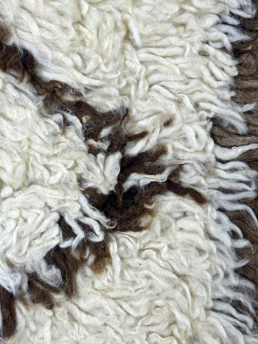 Zemzam Checkered Rug <br> 270 x 170 CM