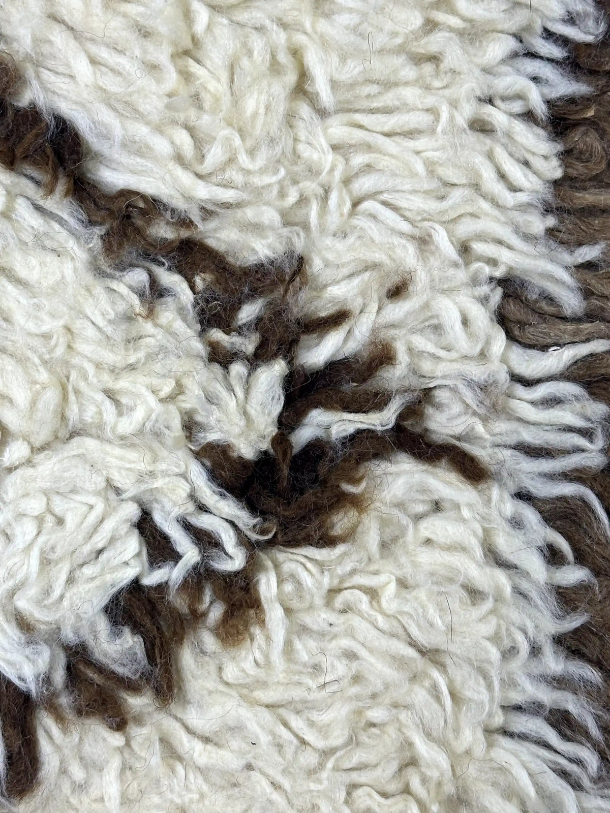 Zemzam Checkered Rug <br> 270 x 170 CM